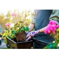thumbnail image 3 of Readi Soil 22 lb. Organic Biochar Soil Amendment – Carbon-Rich Conditioner for Water Retention & Root Growth, 3 of 6