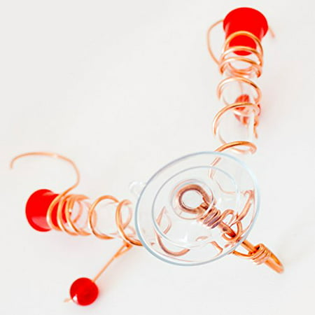 Best Copper Hummingbird Feeder for Window - Includes 2 Nectar Ports with Easy-Suction Cup for Attaching - 100%