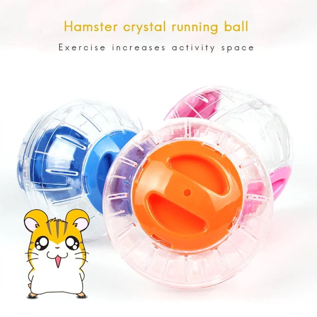 Cateissary 12cm Pet Exercise Ball Toy Rodent Jogging Workout Home Grounder Animals Toys Round Training Outdoor Sport Indoor Juegos de accesorios de baño Numero 3