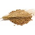 thumbnail image 1 of Barley Kernels, 1 of 1