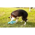thumbnail image 4 of Distributeur d'aliments pour animaux de compagnie Drôle Moulin à Rotation à Évent Forme Chien Formation Jouet Chien à Mâcher Jouet, 4 of 9