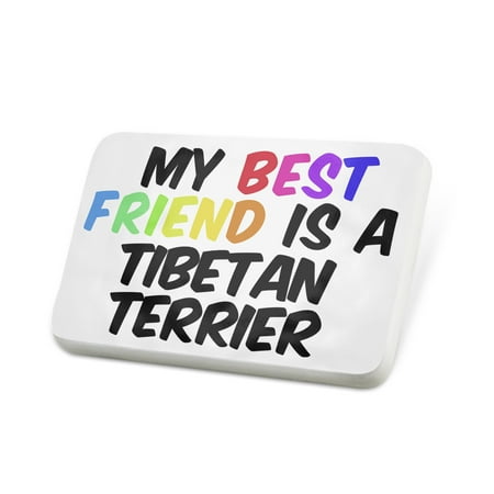 Porcelein Pin My best Friend a Tibetan Terrier Dog from Tibet Lapel Badge –