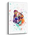 thumbnail image 2 of Epic Art 'Colorful Watercolor English Bulldog' by Furbaby Affiliates, Acrylic Glass Wall Art, 12"x16", 2 of 8