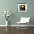 thumbnail image 3 of Trademark Fine Art "Ode to Yellow II" Canvas Art by Color Bakery White Matte, Silver Frame, 3 of 4