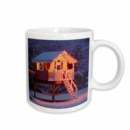 

3dRose Playhouse in Winter snow Louisville Kentucky - US18 AJE0451 - Adam Jones Ceramic Mug 15-ounce
