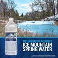 thumbnail image 4 of Ice Mountain Spring Water, 20 Fl Oz, Single Plastic Bottle, 4 of 11