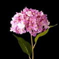 thumbnail image 5 of Hot Hydrangeas Flowers Bouquet Bridal Wedding Decoration Real Latex Home Floral Arrangement, 5 of 5