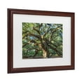 thumbnail image 2 of Trademark Fine Art 'Angel Oak Charleston' Canvas Art by Pierre Leclerc, 2 of 4