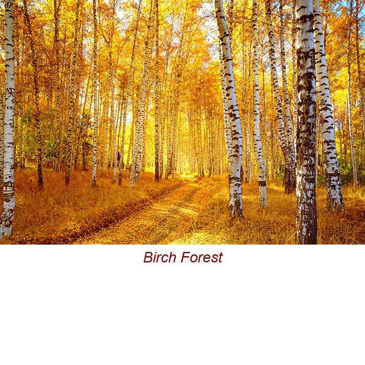 Birch Tar Essential Oil 15 ml (1/2 fl oz) - 100% Pure and Natural by Silky Scents