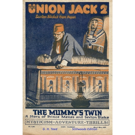 The Mummy's Twin, (Paperback)