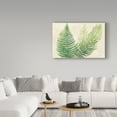 thumbnail image 3 of Trademark Fine Art 'Ferns Square III v2 on Cream' Canvas Art by Chris Paschke, 3 of 3