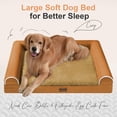 thumbnail image 2 of Cama Ortopédica para Perros Pequeños Lavable: Cama con Respaldo para Perros Pequeños, Espuma de Celda de Huevo, Sofá Impermeable con Funda Removible - Naranja, 2 of 7