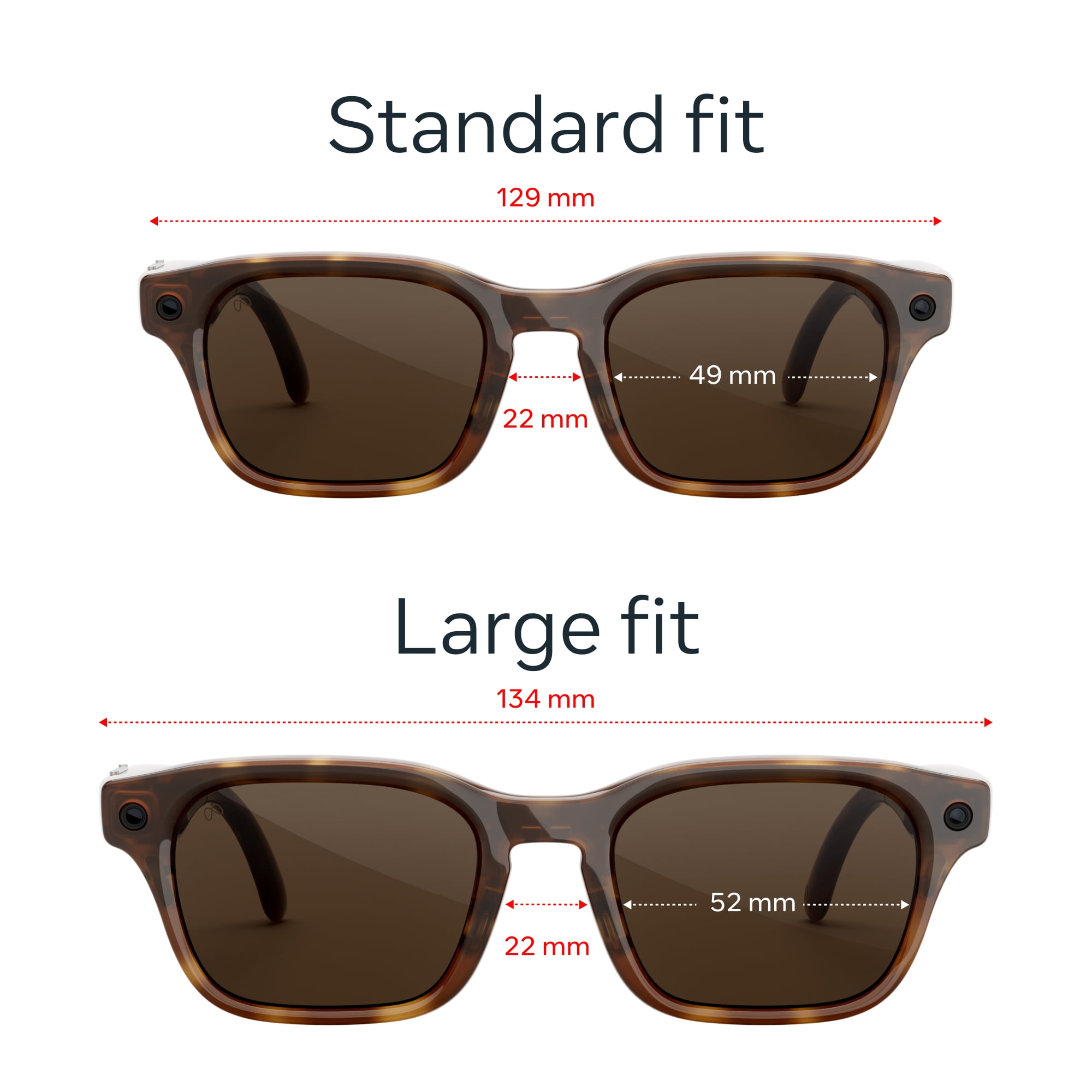 Meta Adventurer Classic Tortoise, Brown Lenses