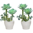 thumbnail image 1 of 2pcs simulation succulents bonsai artificial succulents potted creative small ornaments simulation plants, 1 of 5