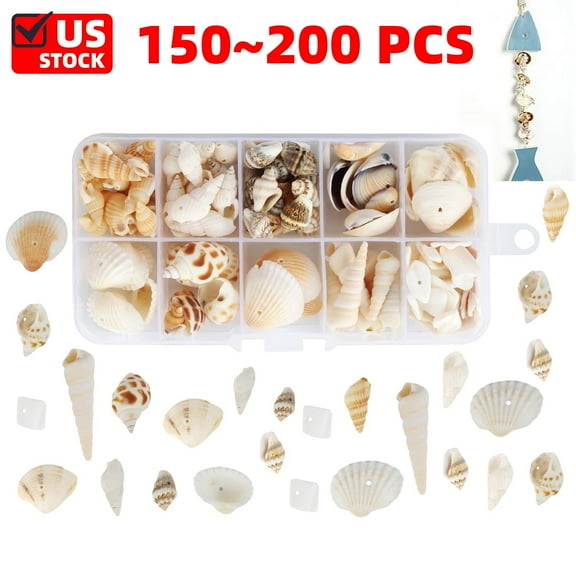 Natural Shells Decoration with 10 Gears Storage Box,Spiral Shells Ocean Beach Conch Seashells with Hole for Bracelet Jewelry Craft Home Decoration Fish and Vase Filler
