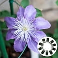 thumbnail image 4 of MasteelfCA 10pcs Orchid Plastic Clips Practical Plant Support Clips Flower and Vine Clips, 4 of 9