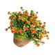 thumbnail image 2 of GOOHOCHY Plantas artificiales, bonsái decorativo de plástico, para decoración del hogar (naranja), 2 of 6