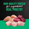 thumbnail image 6 of Cesar Poultry Lovers Variety Pack Chicken, Turkey Or Duck, Wet Dog Food, 3.5 Oz Trays (36 Ct), 6 of 13