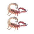 thumbnail image 1 of 2x s de escorpión realistas, modelo de animales de silvestre para proyectos de bricolaje, suministros de diorama de paisaje de tren modelo Zulema Figuras de animales de juguete, 1 of 8