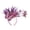 Purple, variant on Certgust Headscarf Under$10 Fascinators Hat Women Tea Party Headband Flower Cocktail Mesh Hair Clip Kentucky Derby Hat Wedding