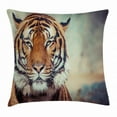 thumbnail image 1 of Tiger Throw Pillow Cushion Cover, Large Feline in a Calm State with Blurred Background Close-up Image of a Beast, Decorative Square Accent Pillow Case, 24 X 24 Inches, Orange Multicolor, by Ambesonne, 1 of 2
