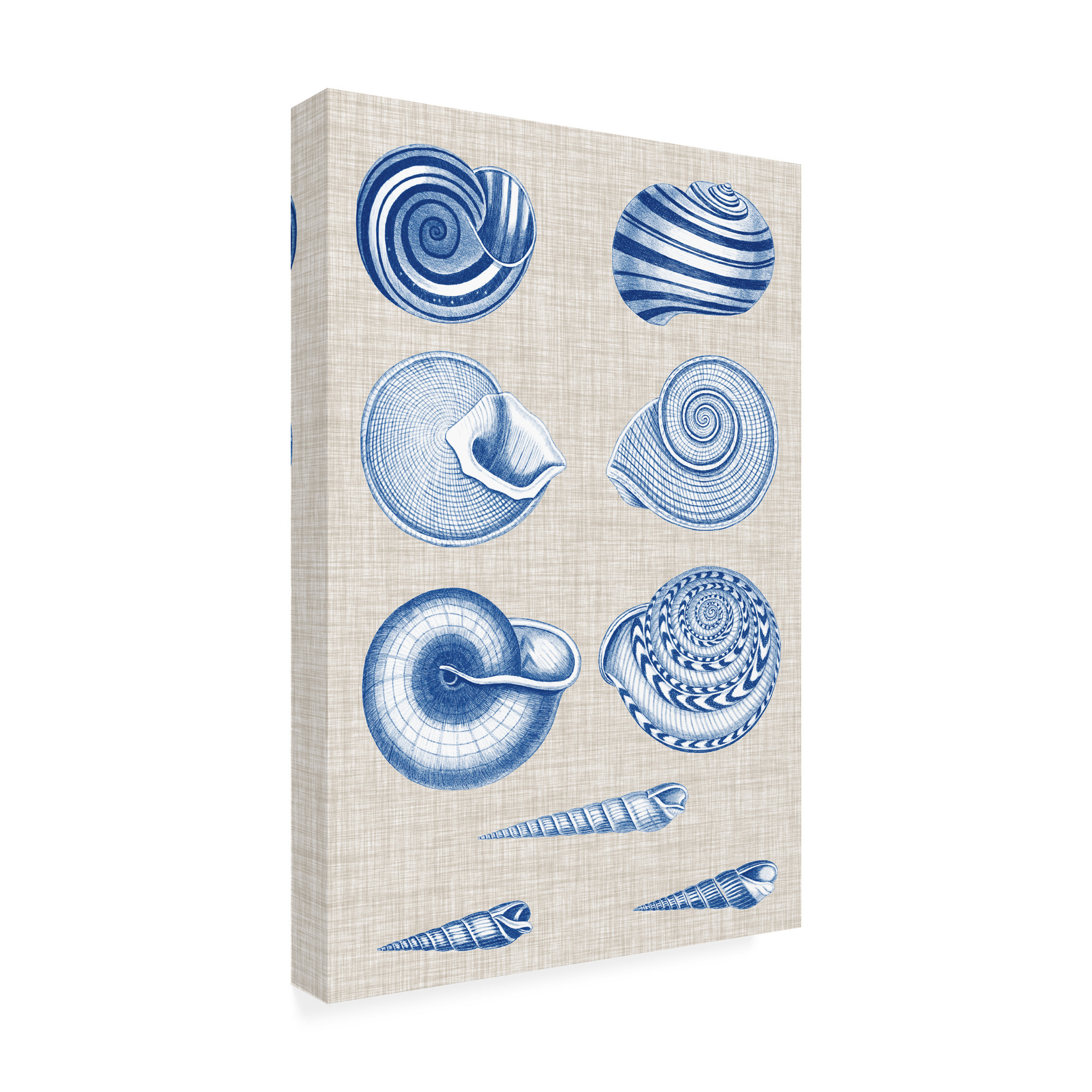 Vision Studio 'Navy And Linen Shells V' Canvas Art