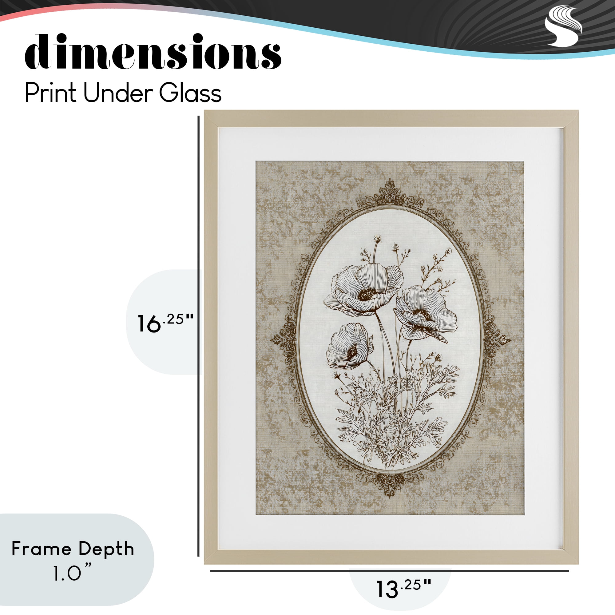 Stupell Industries Vintage Floral Sketch of Poppies Birch Framed Print Under Glass, design by Ink Drop Loft