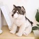 thumbnail image 3 of Realistic Wolf Stuffed Toys Plush Animals Kids Toys Children Soft Kawaii Wolf, 3 of 4