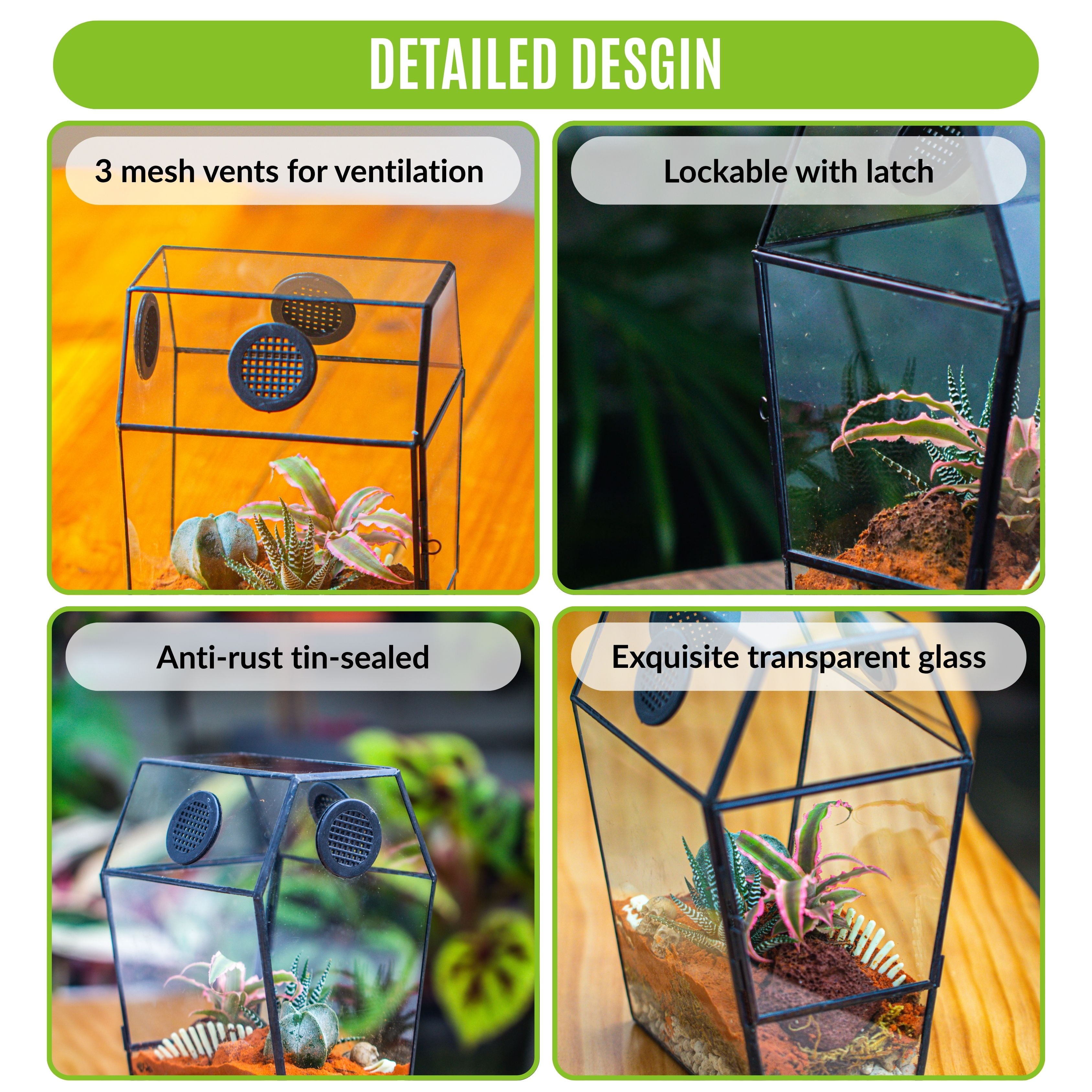NCYP Gothic Glass Enclosure for Jumping Spider, Snails, Insects - Front Opening Door Geometric Cactus Plants Terrarium with Vent Holes, Indoor Tabletop Coffin Shape Decor, Black (Terrarium Only)