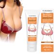 thumbnail image 1 of Fiudx Ofertas de la semana Crema para el pecho con extracto natural Crema para el pecho reafirmante y reafirmante Crema para el pecho reafirmante y reafirmante 80 g, 1 of 7
