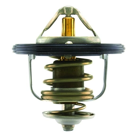 Engine Coolant Thermostat Assembly