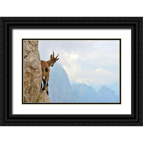 Zocca, Stefano 32x22 Black Ornate Wood Framed with Double Matting Museum Art Print Titled - Suspense