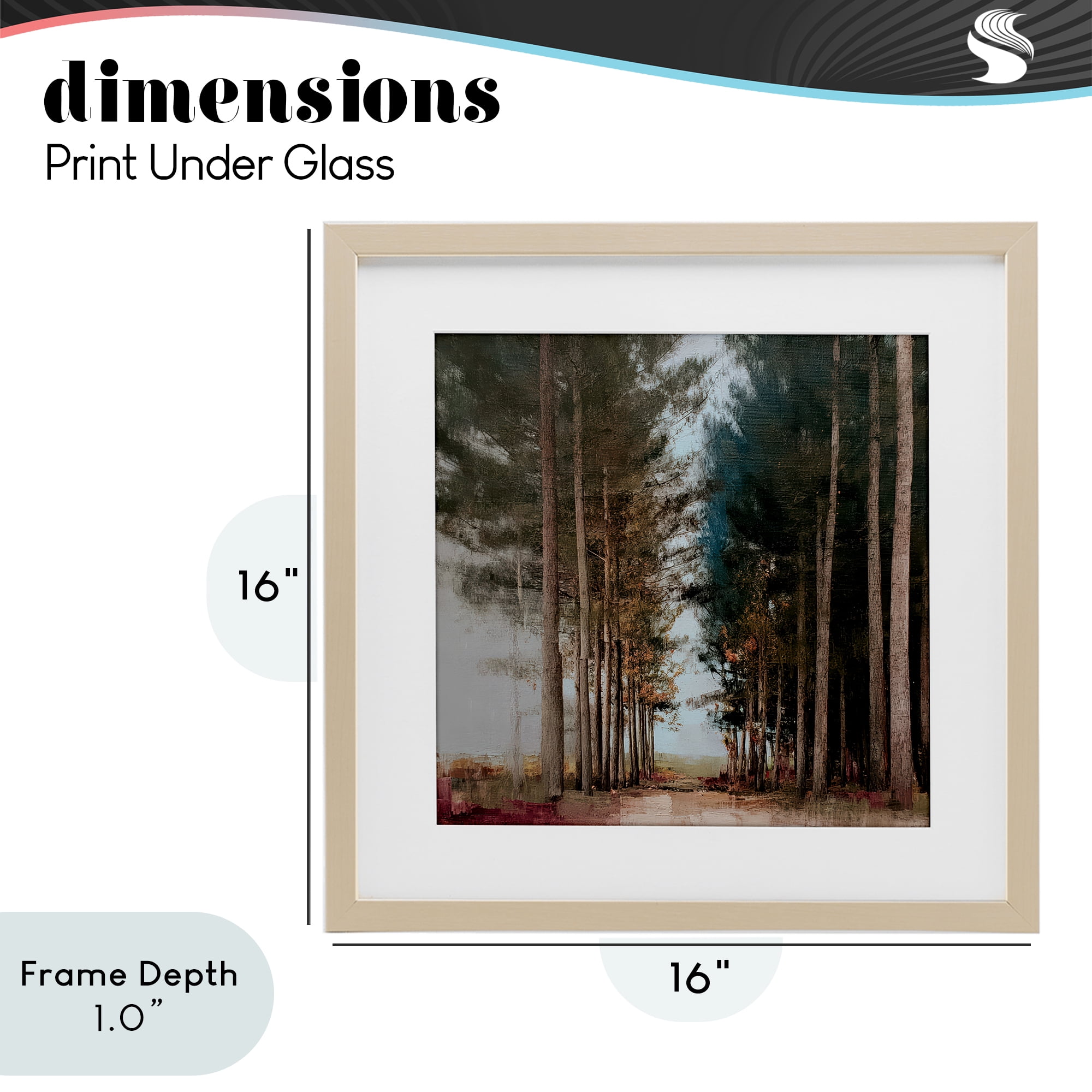 Stupell Industries Tall Trees Pathway Birch Framed Print Under Glass, design by Kim Curinga