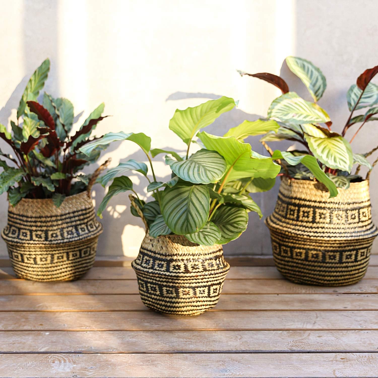 LE TAUCI Plant Basket, S+M+L Black Flower Woven Seagrass Belly Planter Baskets, Set of 3