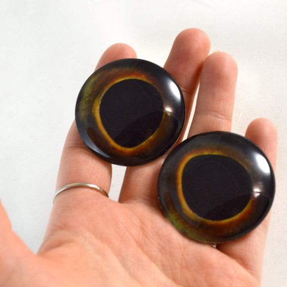 Dark Fish Glass Eyes