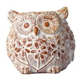 thumbnail image 1 of koolsoo Animals Planter Hand Painted Simple for Office Yard Decorations Owl, 1 of 9