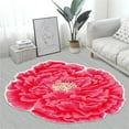 thumbnail image 6 of JHGoosa Heat Transfer 3D Shaped Flower Floor Mat Sofa Bedroom Living Room Carpet "C", 6 of 6