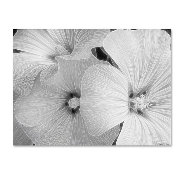 Trademark Fine Art "Sheer Malva" Canvas Art by Kathie McCurdy