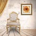 thumbnail image 3 of Reynolds, Richard 15x15 Gold Ornate Wood Framed with Double Matting Museum Art Print Titled - Stellaria Solaris, 3 of 4