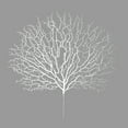 thumbnail image 1 of AF0001L Peacock tree coral branch double head (3# sea tree) white 45cm PP, 1 of 7