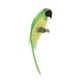 thumbnail image 5 of Figura de loro en miniatura para jardín de hadas, adorno para casa de muñecas escala 1/12 Verde, 5 of 6