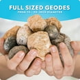 thumbnail image 4 of National Geographic Break Open 10 Premium Geodes â Includes Goggles & Display Stands - STEM Science Kit, Geology Gift for Kids, Break Your Own Geodes, 4 of 7