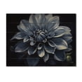 thumbnail image 3 of Designart "Monochrome Garden Palette Black and White Dahlias II" Floral Print on Natural Pine Wood, 3 of 5