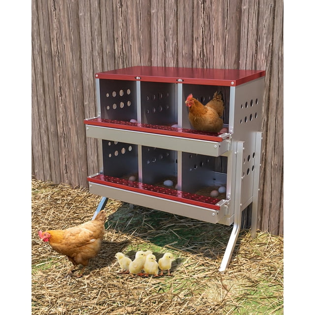 Yiwa Boîte de Nidification en Métal pour Poules, Boîtes Murales Antirouille pour Poser des Œufs, Ventilées avec Perchoir, Étanches, 6 Compartiments avec Pieds