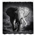 thumbnail image 2 of Ambesonne Grey Shower Curtain, Exotic Wildlife, 69"Wx84"L, Grey, 2 of 4