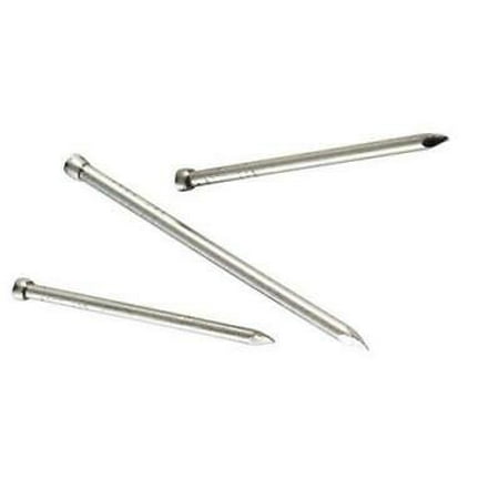 

Simpson Strong-Tie 6D 2 in. Finish Stainless Steel Nail Brad 5 lb.