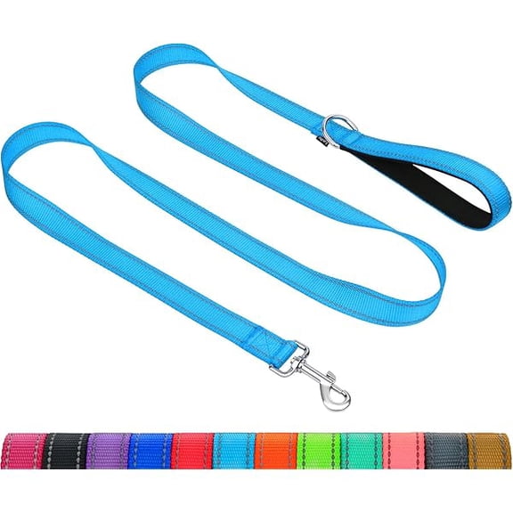 Eryueer Dog Leash for Small Dogs, Double-Sided Reflective Leash with Soft Neoprene Padded Handle, 3/4 inch by 5 ft, Fit Small Medium Large Breeds Under 20 lbs, Sky Blue