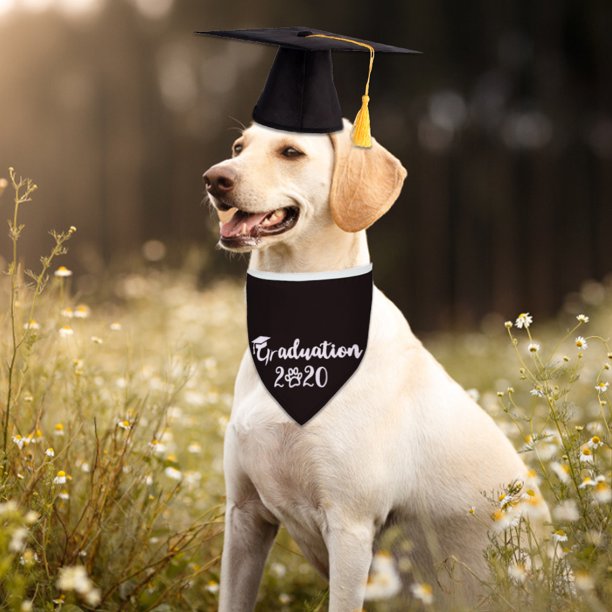 Dog Graduation Hat Pet Graduation Bandana with Yellow Tassel Bow Tie Necktie Pet Costume