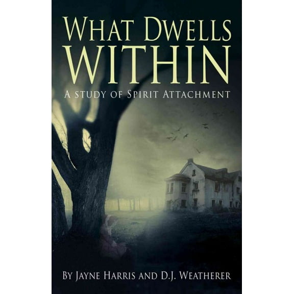 What Dwells Within : A Study of Spirit Attachment (Paperback)