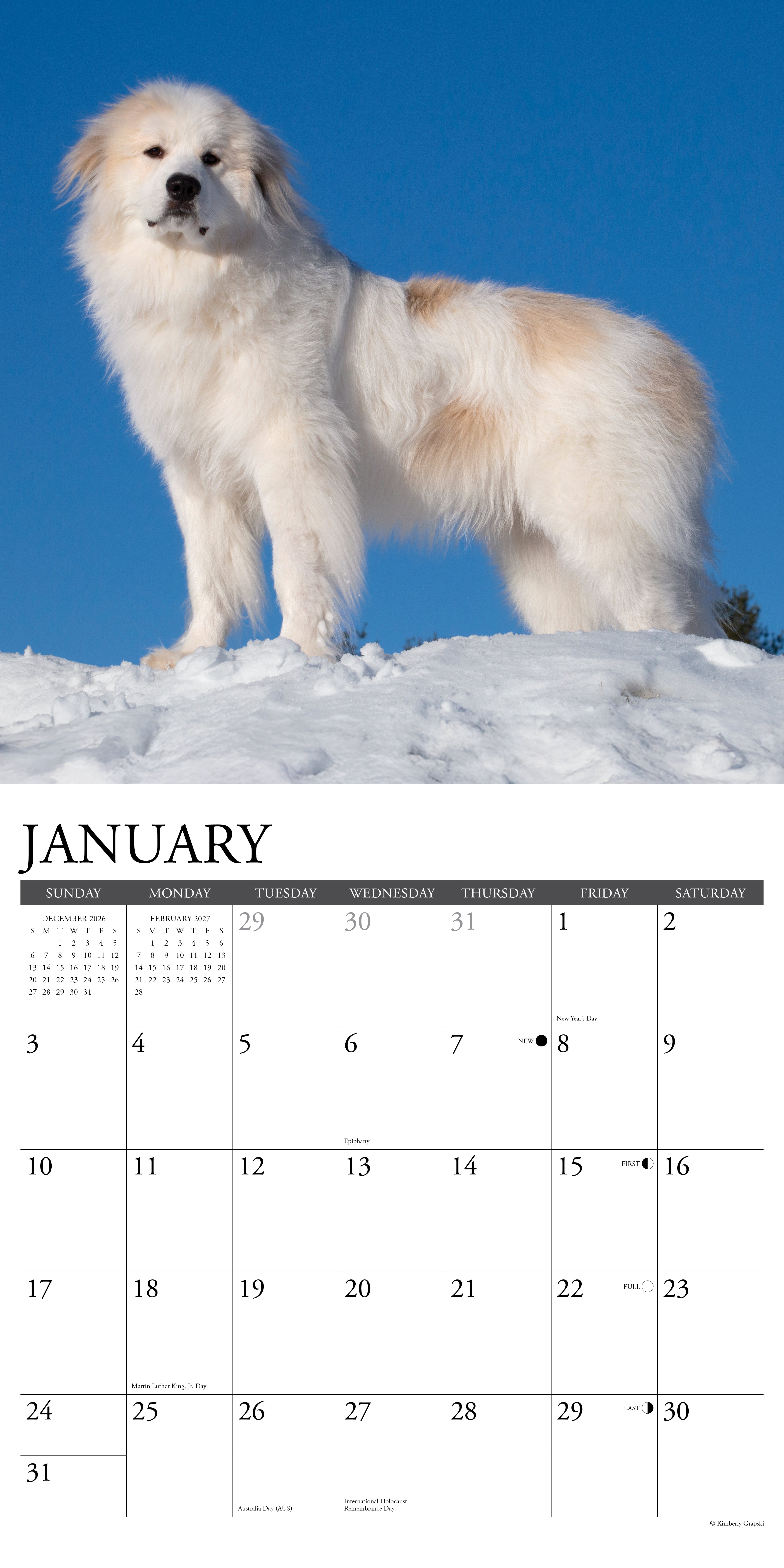 Willow Creek Press, Great Pyrenees 2027 Wall Calendar